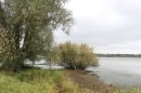 Lac de Grand-Lieu